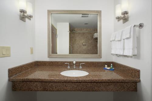 兰德兰德快捷假日&套房酒店的一间带水槽和镜子的浴室
