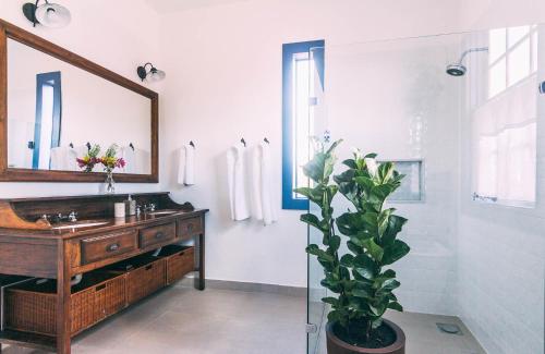 蒂拉登特斯Amana Tiradentes的浴室设有水槽、镜子和盆栽植物