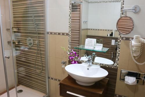 麦纳麦精英水晶酒店的一间带水槽和淋浴的浴室