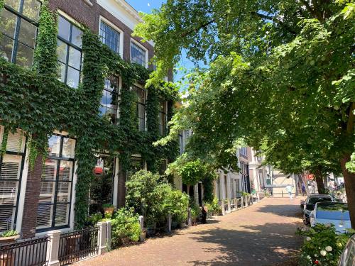 斯希丹't hart van Schiedam的城镇中树木繁茂的街道