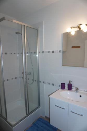 瑟穆瓦河畔夫雷斯Domaine "Les Hochets的带淋浴和盥洗盆的浴室