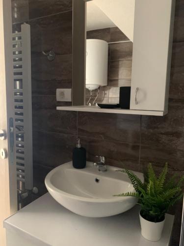 弗尔尼亚奇卡矿泉镇VIP House 1的浴室设有水槽、镜子和植物