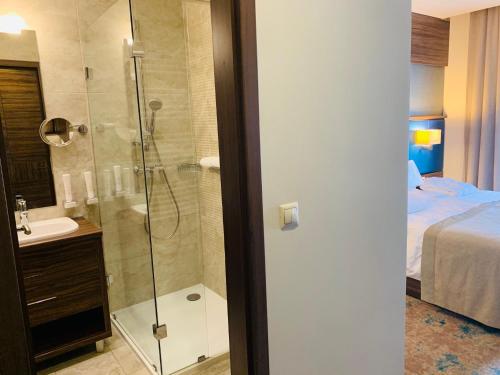 蒂萨凯奇凯Barack Thermal Hotel and Spa的带淋浴和盥洗盆的浴室以及1张床。