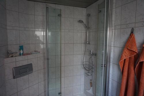哈弗尔河畔勃兰登堡Fewo-Sossna的带淋浴的浴室和玻璃门