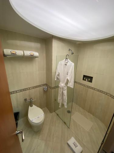 墨西哥城HOTEL MARIA RICO的一间带卫生间和玻璃淋浴间的浴室