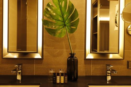 全州市Best Western Plus Jeonju的浴室柜台上一个黑色花瓶,上面有植物
