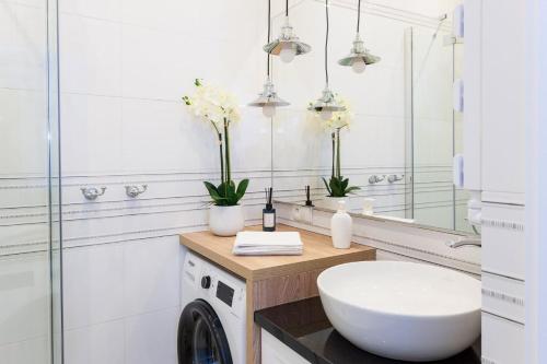 奥普尔Apartament w samym sercu Opola 3的一间带洗衣机和水槽的浴室