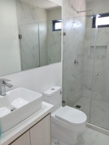 巴亚尔塔港Venecia 262的一间带水槽、卫生间和淋浴的浴室