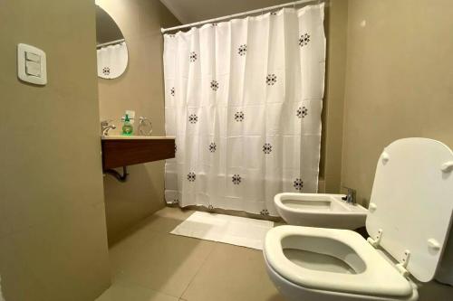 布宜诺斯艾利斯Exclusivo Loft En Recoleta Zona Clinicas Y Avenidas的一间带卫生间和淋浴帘的浴室