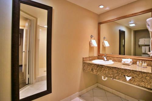阿纳海姆酒店波托菲诺套房酒店的一间浴室