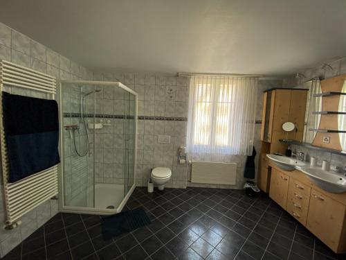 UrnäschNaturaleza Pura的带淋浴、卫生间和盥洗盆的浴室