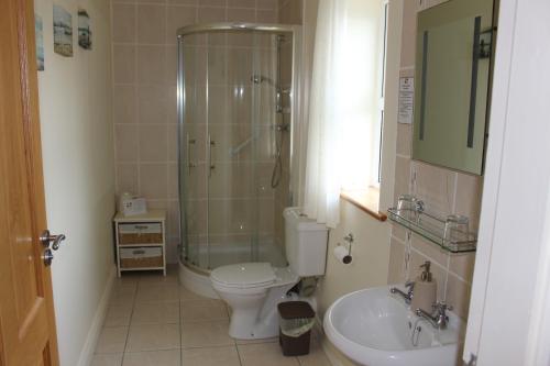 KilbrittainKilcatten Lodge的带淋浴、卫生间和盥洗盆的浴室