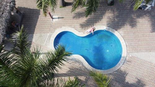 奥隆Cabaña Cangrejito Olon的享有棕榈树游泳池的顶部景致