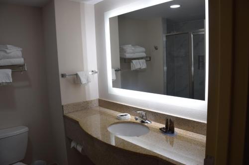 巴尔的摩Wingate by Wyndham Baltimore BWI Airport的一间带水槽、镜子和卫生间的浴室