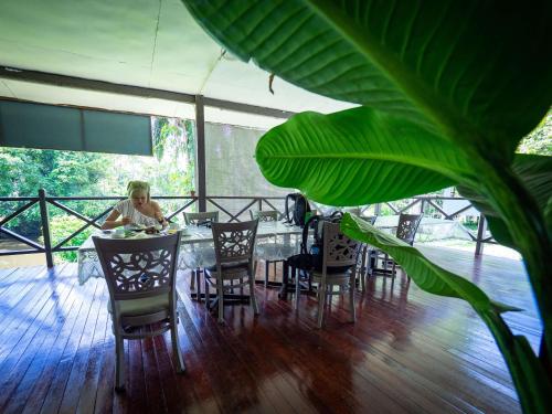 姆鲁本那拉山林小屋的坐在餐桌上种植植物的女人