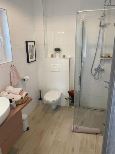 图赫尔斯克利普利采AQUA-TUHELJ- SKY的一间带卫生间和玻璃淋浴间的浴室