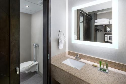 俾斯麦Bismarck Hotel and Conference Center的一间带水槽、镜子和卫生间的浴室