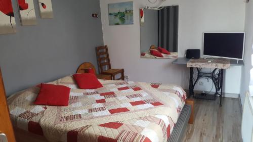 Caux-et-SauzensGîte indépendant的一间卧室配有一张带红色枕头的床