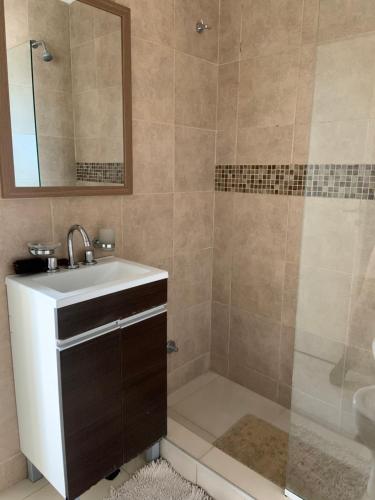 圣达菲Hermoso departamento un dormitorio的浴室配有盥洗盆和带镜子的淋浴