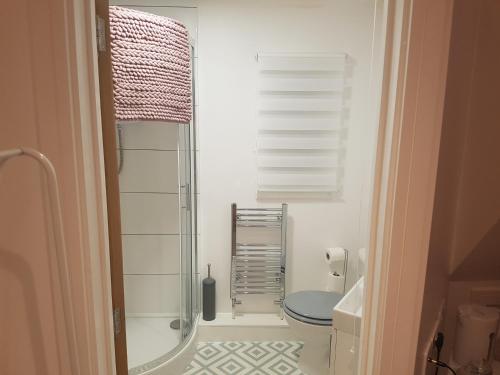 斯凯格内斯Rosie flanagan's的一间带卫生间和玻璃淋浴间的浴室