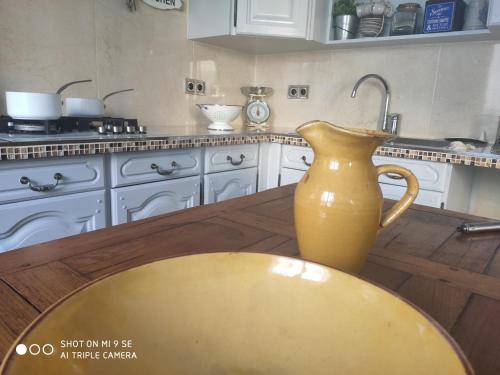 马赛Chambre au panier的厨房配有一个坐在桌子上的花瓶