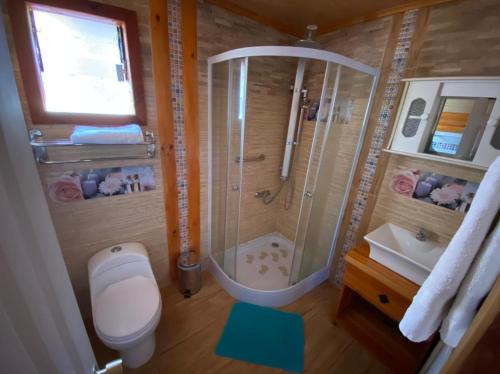 安库德伊斯拉玛吉卡假日公园的带淋浴、卫生间和盥洗盆的浴室