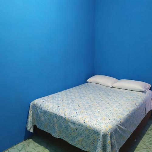 巴鲁埃里Quarto Duplo Confort的蓝色客房 - 带2个枕头的床