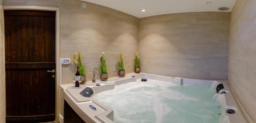 阿拉德罗姆哈塔耶莱特旅馆的浴室配有带水的浴缸。