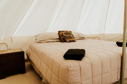 罗托鲁瓦Oakridge Glamping的帐篷内一间卧室,配有一张床