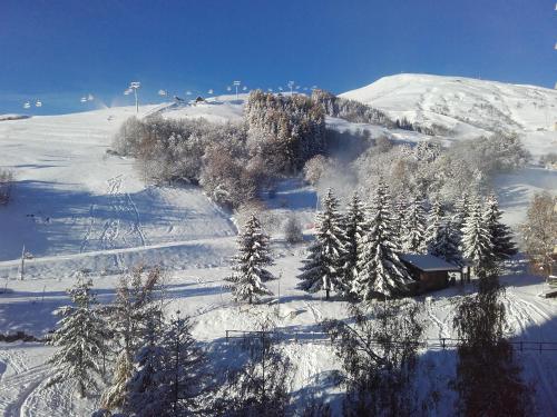 勒克比尔Larnica的一座有树木的雪覆盖的山,小屋