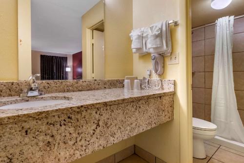 基西米麦格特中心伊克诺旅店的一间带水槽、卫生间和淋浴的浴室