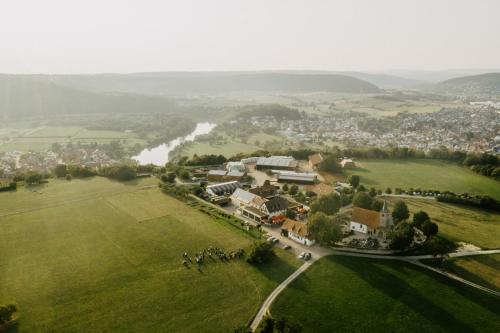 GundelsheimSchäfer's Ferienhof Michaelsberg的享有城镇和河流的空中景致