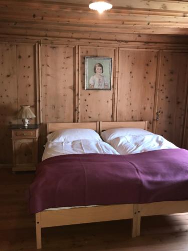 贝尔金Haus Buol Bergün的卧室配有一张挂在墙上的床铺