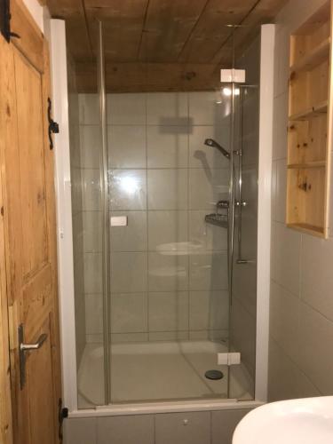 贝尔金Haus Buol Bergün的浴室里设有玻璃门淋浴