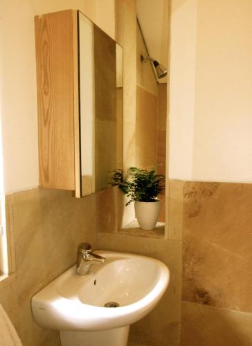 约翰内斯堡The Loft的一间带水槽和盆栽植物的浴室