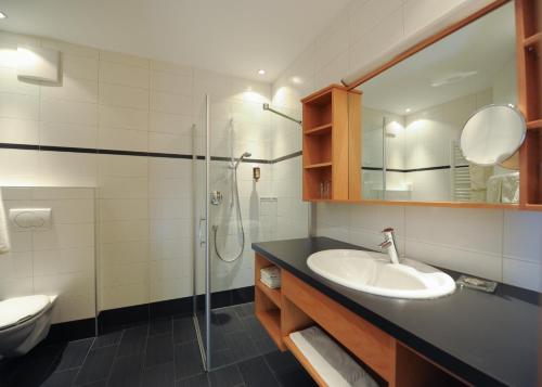 普拉托·阿罗·斯泰尔维奥斯特恩宾馆的一间带水槽和淋浴的浴室