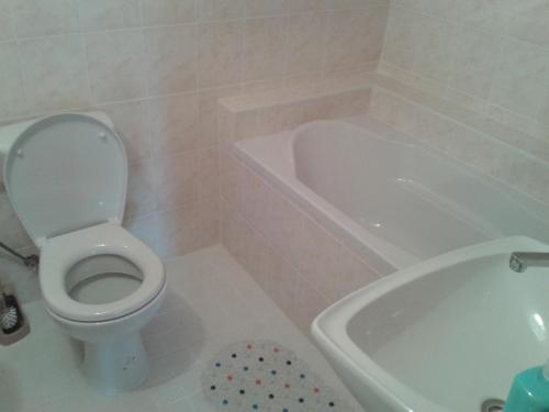 切尔韦纳沃达豪斯汀瓦林图公寓的浴室配有卫生间、浴缸和水槽。