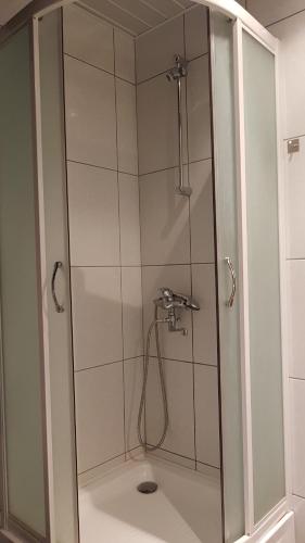 TammikuAare kodumajutus Sandri tuba的浴室里设有玻璃门淋浴