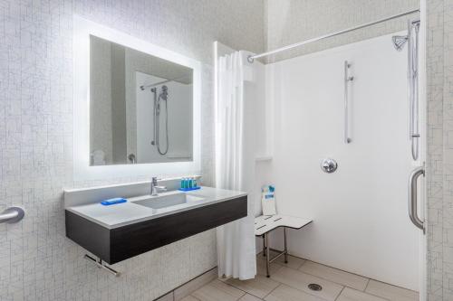 哥伦布Holiday Inn Express Columbus - Ohio Expo Center, an IHG Hotel的一间带水槽、镜子和淋浴的浴室