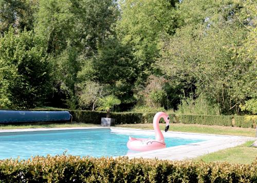 TrignyLe Vivier的游泳池里的粉红色天鹅