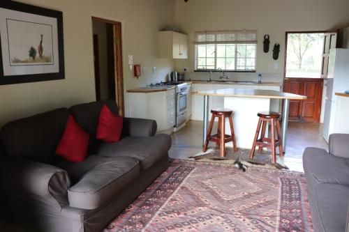 GravelotteMurchison View Cottage的带沙发的客厅和厨房