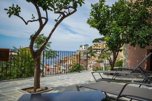 里奥马哲雷Cinque Terre Coast to Coast的树坐在带椅子的庭院顶