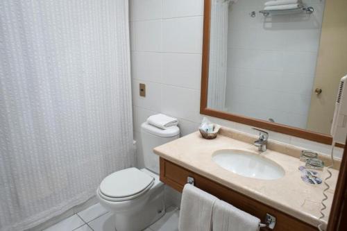 奇廉伊莎贝尔里克尔梅格兰酒店的一间带卫生间、水槽和镜子的浴室
