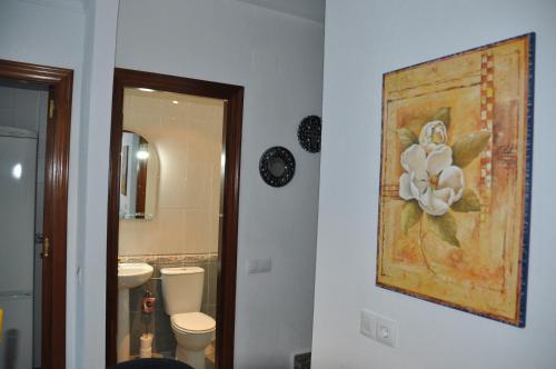 奇皮奥纳Villachipi的浴室墙上挂着一幅花画