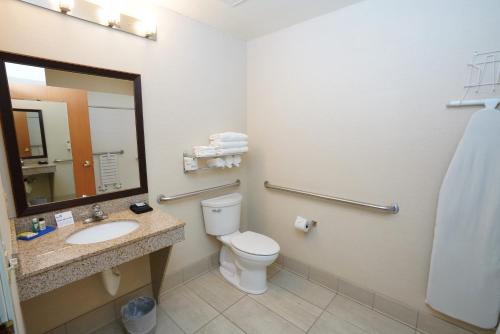 坎宁维尔Creekside Hotel & Suites的一间带卫生间、水槽和镜子的浴室
