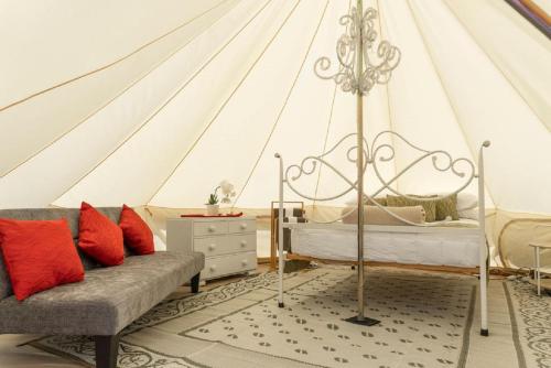 LeithfieldLeithfield Beach Holiday Park的一间卧室配有一个带一张床和一张沙发的帐篷