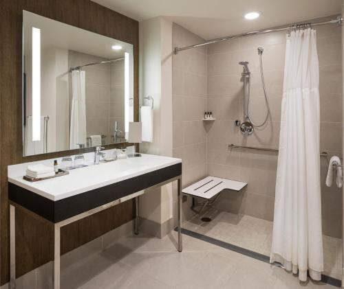 布卢明顿Hyatt Regency Bloomington - Minneapolis的一间带水槽和淋浴的浴室