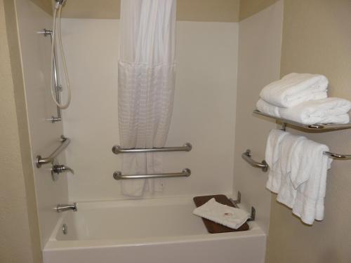 Comfort Inn Fort Myers Northeast的一间浴室