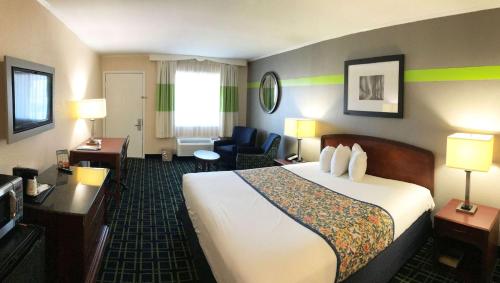 弗吉尼亚海滩弗吉尼亚海滩马格努森汽车旅馆的酒店客房设有床和客厅。