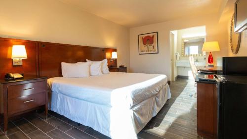 欧文Magnuson Extended Stay and Suites Airport Hotel的酒店客房设有一张大床和一台电视。